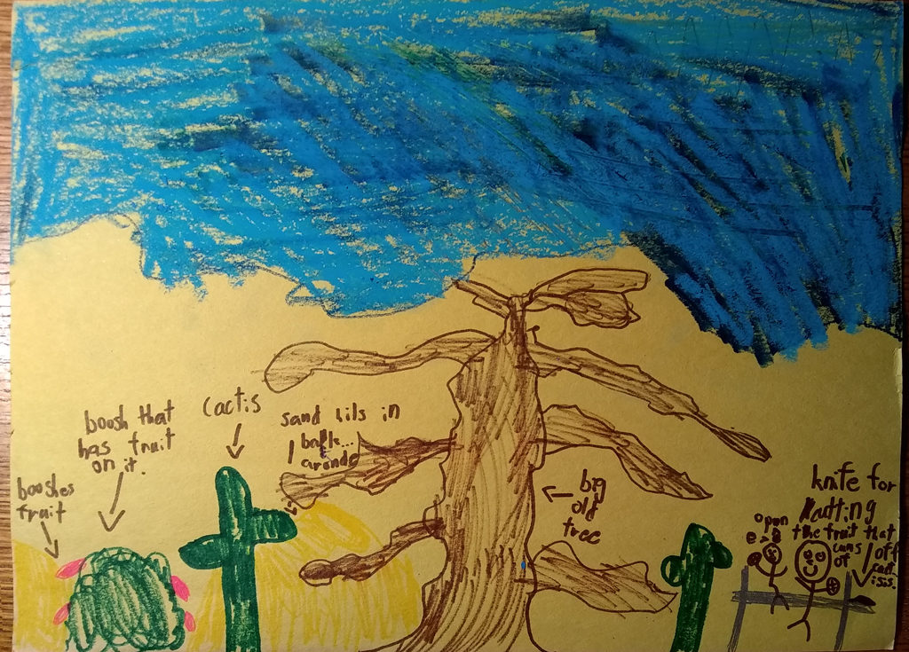 How my grandson remembers our visit to Tecolote Canyon