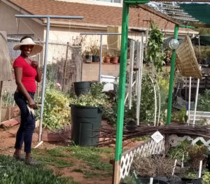 Mia Vaughnes working in Jeeni's garden