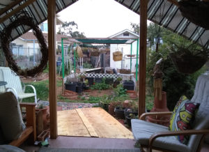 My wheelchair view of my garden from my back porch.