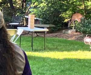 Th deer that visited u on Father's Day